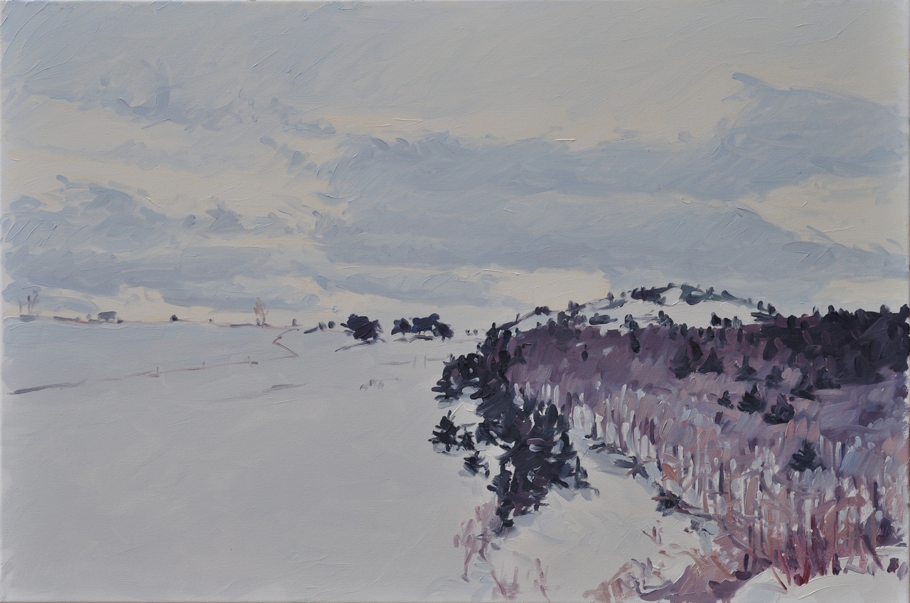 neuf février, Massif du Mézenc, sous la neige, huile sur toile, 60x90cm, 2014
