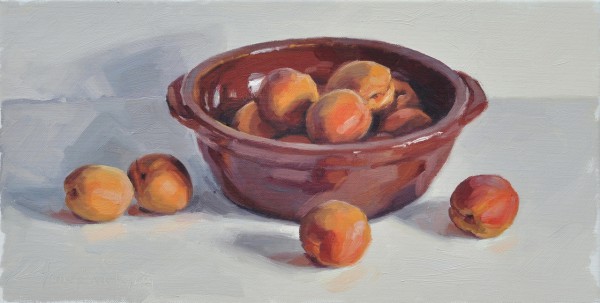 Abricots dans un plat en terre, huile sur toile, 46x23cm, 2017, collection privée USA