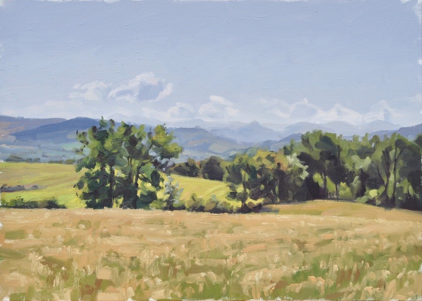 Dix-sept juillet, champs à Saint Vincent, huile sur toile, 50 x70 cm, 2017