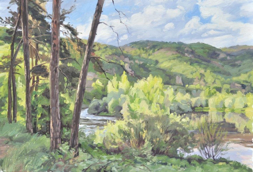 Quinze mai, bord de Loire, huile sur toile, 50 x 73 cm, 2020