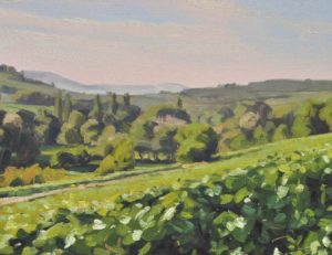 Seize juillet, vignes, lumière du matin, huile sur toile, 46 x 65 cm, 2019
