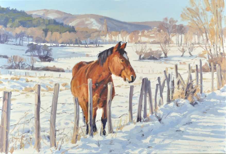 Cheval au pré enneigé, huile sur toile, 50 x 73 cm, 2021