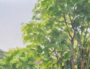 Dix-sept juin, chemin à Polignac, huile sur toile, 89 x 130 cm, 2023