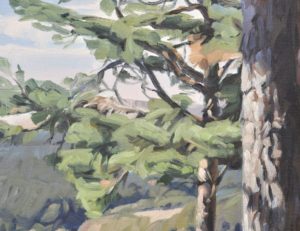 Mézenc, fin d'été, huile sur toile, 60 x 92 cm, 2025