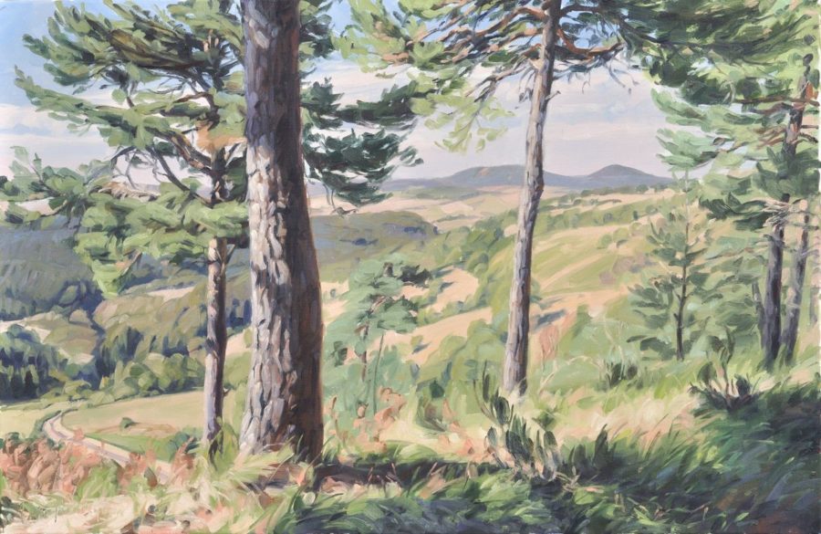 Mézenc, fin d'été, huile sur toile, 60 x 92 cm, 2025