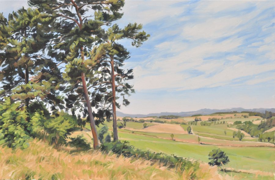 Vingt-quatre juin, huile sur toile, 60 x 92 cm, 2025