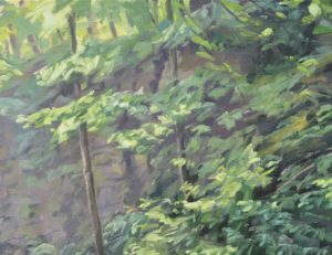 Lumière du matin sur la Sumène, huile sur toile, 89 x 130, 2026, vendue 2026.jpg