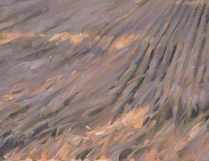 Après la moisson, lumière du matin, huile sur toile, 89 x 130 cm, 2026