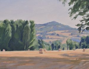 Après la moisson, lumière du matin, huile sur toile, 89 x 130 cm, 2026