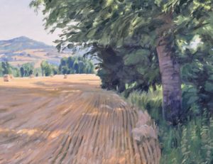 Après la moisson, lumière du matin, huile sur toile, 89 x 130 cm, 2026