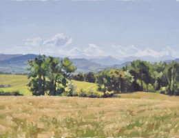 Dix-sept juillet, champs à Sant Vincent, huile sur toile, 50x70cm, 2017