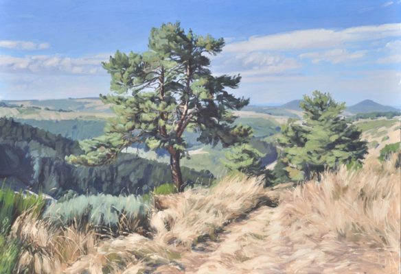 Dix septembre, pin au-dessus de la vallée, huile sur toile, 89 x 130 cm, 2023