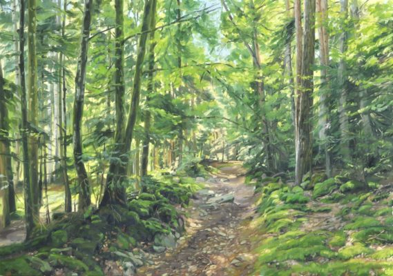 Chemin sous bois, en été, huile sur toile, 114 x 162 cm, 2024.jpg