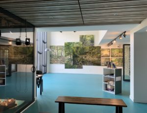 Exposition Musée Jules Romains