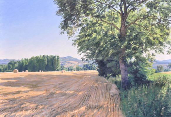 Après la moisson, lumière du matin, huile sur toile, 89 x 130 cm, 2026